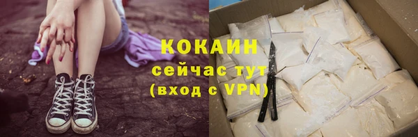 спайс Богданович