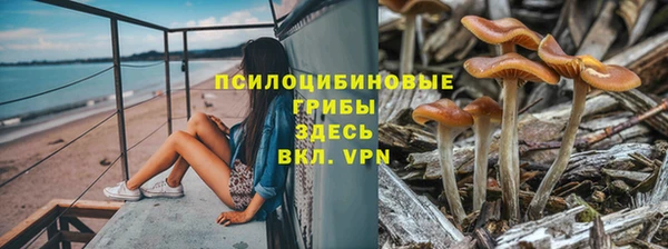 прущие крисы Богородицк
